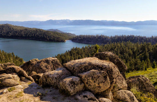 TRTER IS BACK FOR 2026